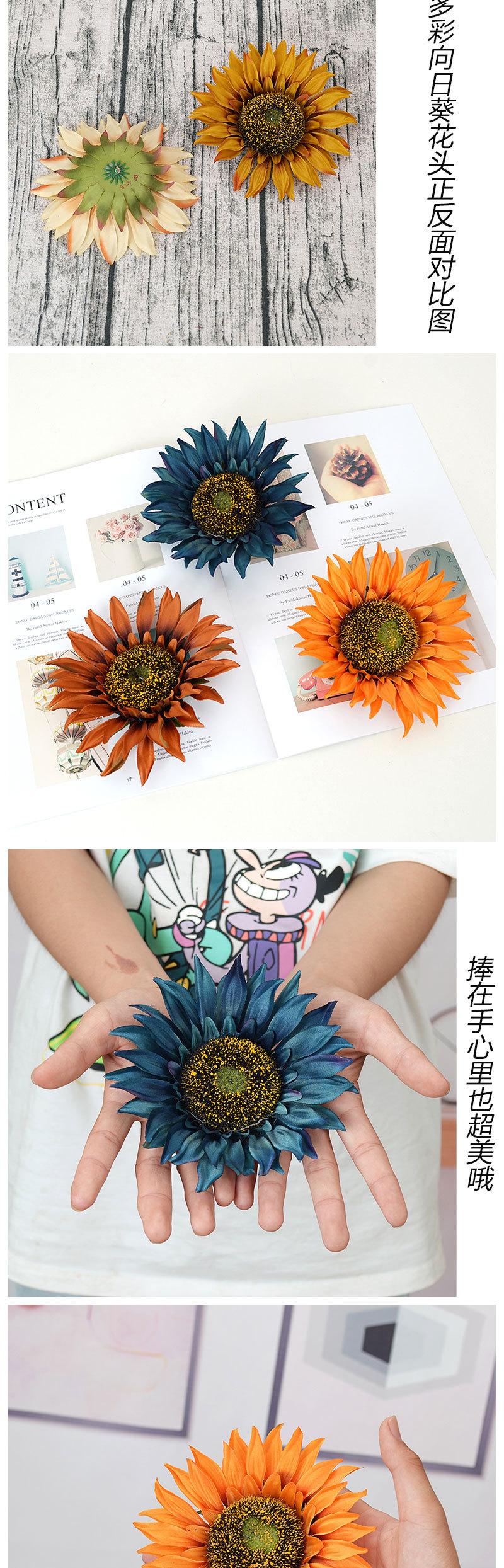 多彩向日葵花头_03.jpg
