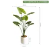 Plantas Artificiais Estilo Nórdico em Estoque para Atacado, Planta Artificial de Taro Torto, Plantas Verdes Falsas para Paisagismo, Plantas em Vasos para Decoração de Piso Interno para Sala de Estar