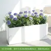 Combinação de Plantas Verdes Artificiais Hc-Dy5 para Paisagismo de Decoração de Janelas, Vasos de Flores, Jardineiras, Paisagismo de Divisórias, Exibição Interna e Externa