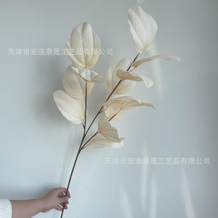微信图片_202205021521402_副本