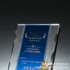 La nueva placa de matrícula de cristal se puede colocar en la empresa banco seguro autorización premio letras gratuitas facturación envío