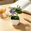 Fornecido Diretamente do Fabricante, Pequenas Plantas Artificiais de Lótus e Nenúfares em Vasos para Decoração de Sala de Estar Interna, Flores Artificiais e Plantas Verdes Bonsai