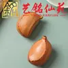Marca de Trueno Madera de Azufaifo Talla de Nogal Bola de Salud Arte Ming Xian Yuan Madera Maciza Creativa DIY Calabaza Pinza Mango Pieza Adorno