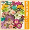 Paquete de Materiales DIY de Flores Secas Flores Prensadas Hechas a Mano Flores Conservadas Marcadores de Libros de Flores Prensadas Hojas de Árbol Real Plantas Pegatinas de Resina Maquillaje Facial