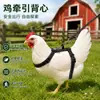 Nuevo modelo de chaleco para pollo con correa es suave, cómodo, no restrictivo, arnés ajustable para pollo mascota con características reflectantes, portátil y ligero