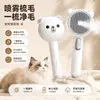 Peine cepillo rociador recargable universal para mascotas más vendido transfronterizo para gatos y perros, elimina el pelo suelto, desenreda el pelaje, elimina las pulgas, peine de dientes finos