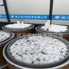 Fornecimento diafragma de PTFE junta de diafragma de PTFE produtos de diafragma de PTFE