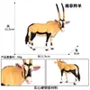 Simulación Cognitiva Animal Sólido Aves de Corral Ganado Burro Modelo Cría Burro Manchado Burro Juguete Burro Adornos