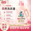 Detergente para Ropa Liby Master Fragrance Caja Completa al por Mayor Fragancia de Larga Duración Dormitorio de Estudiantes Oferta Especial para el Hogar Producto Oficial Genuino