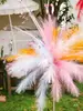 Conjunto de Decoração para Quarto de Casamento, Decoração de Casamento, Colunas de Penas de Juncos, Fundo para Atmosfera de Casamento, Adereços para Fotos