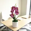 Planta Artificial de Orquídea Phalaenopsis Simulada com 5 Flores em Vaso, Flores Artificiais para Decoração de Casa e Escritório, Arranjo de Cena, Adereços de Folhagem para Fotografia