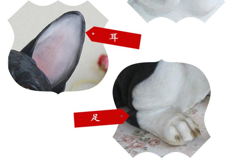 法国斗牛犬_20.jpg