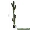 Planta artificial cactus bonsái, cactus pilar falso, planta verde tropical a base de arena en maceta, decoración para paisajismo interior
