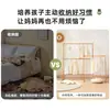 Perchero para Ropa de Niños Madera de Haya de Pie Perchero para Abrigos de Dormitorio Almacenamiento Vertical de Ropa para el Hogar Perchero Simple para Secar Ropa