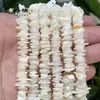 8-10mm Vários Estilos de Contas de Cascalho de Concha Branca Acessórios para Pulseira Colar DIY Joias