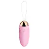Huevo Vibrador con Control Remoto, Vibración Potente y Funcionamiento Silencioso, Venta Directa de Fábrica para Juguetes Sexuales Transfronterizos, Estimulación de Monstruos Femeninos