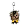 Chaveiro Acrílico Dupla Face para Pet Pingente de Expressão Sapo Cachorro Gatinho Criativo Ornamento
