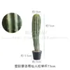 Cactus Grande cactus artificial planta de arena paisaje paisaje paisaje planta tropical cactus en maceta columna de cactus