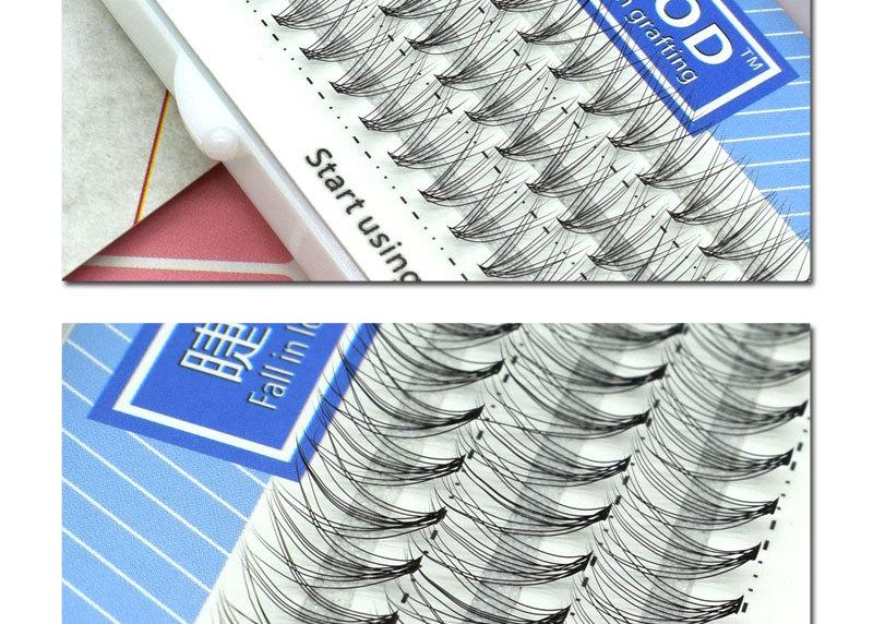 山茶花朵毛-(2)_10