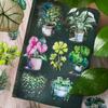 Serie Selva Tropical Pegatinas Día Hermoso planta en maceta cuenta de mano DIY pegatinas decorativas 30 piezas en 6 tipos