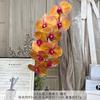 9 Piezas de Película Phalaenopsis Flores Artificiales Simuladas Flores de Seda Auditorio de Bodas Fila de Flores Decoración Floral Adornos de Sala de Estar de Alta Gama