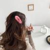 Grampo de cabelo de outono e inverno japonês e coreano, argola para toalha, acessórios de cabelo, fofo, colorido, lã, multifuncional, uso duplo, presilha BB, presilha lateral, adorno de cabeça