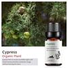 Exportación Transfronteriza Aceite Esencial Individual Fragancia Aromaterapia Masaje Aceite Esencial Sándalo Difusor Mayoreo Muestra de 10 ml