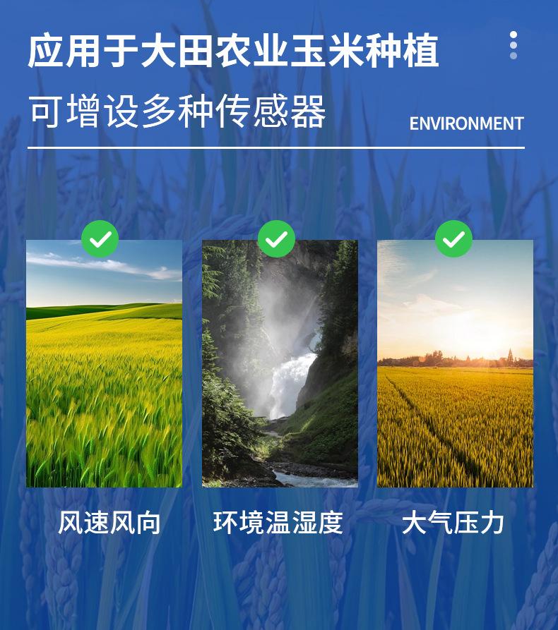 详情_03.jpg