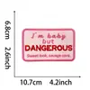 Transfronterizo en stock Mezclilla Bordado Rosa Niña Parche Pegatina Bolsa Chaqueta Vestir coche deportivo Pegatina de Tela para Planchar Zhang Zi