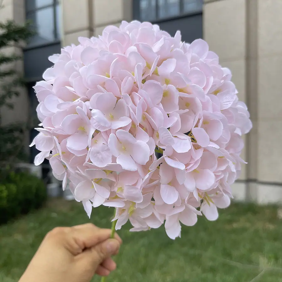 216片诗意美感大绣球-xzmxd-浅粉.JPG