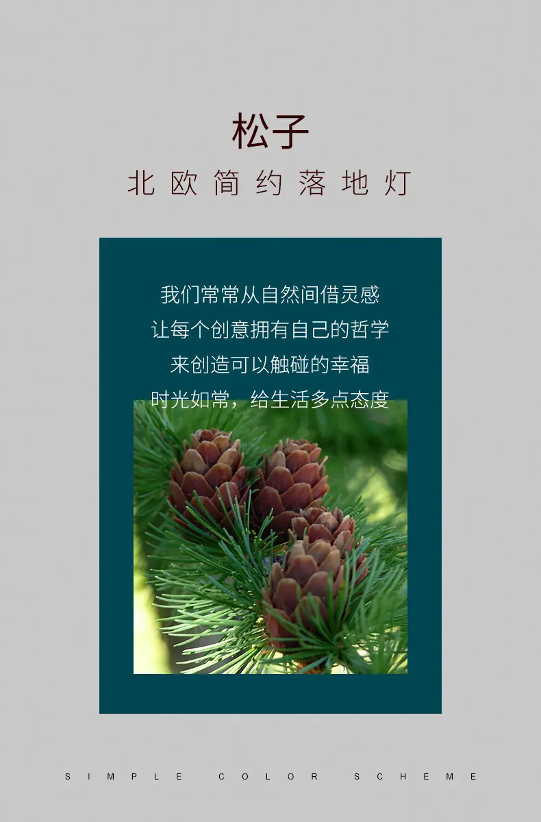 详情图片_02.jpg
