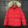 Comércio Exterior Transfronteiriço Chelsea Jaqueta de Penas de Ganso Grande Canadá 04 Feminina Gola de Pele de Lobo Cintura Ajustada Jaqueta à Prova de Frio
