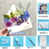 Pacote de Materiais para Cartão de Carta de Primavera DIY com Flores Secas e Prensadas Envelope Namorado Melhor Amigo Casamento Aniversário Cartão de Cumprimentos Cartão de Votos Presente
