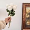 6 Dientes de León Escritos a Mano Bola de Pelo de Plástico Flor de Simulación de Cebolla Flor Falsa Decoración para el Hogar Fotografía de Boda Ramo de Flores para Sostener