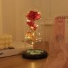 Pantalla de Cristal de Flor Eterna Rosa Flor Artificial Regalo Creativo Decoración Festival Qixi Día de San Valentín Regalo Exquisito