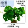 Caja de Cría de Reptiles Suculentas Simuladas Paisajismo Plantas Artificiales Plantas para Acuario Decorativas de Selva Tropical Desértica Ecosistema Nuevo