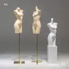 Mannequins de Meia-Corpo Masculino e Feminino para Exposição de Lingerie, Rack para Vitrine de Loja de Lingerie, Manequim, Rack para Exposição de Maiôs e Sutiãs, Modelo de Prateleira