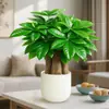 Planta em Vaso Árvore da Fortuna, Planta Verde Interna Fácil de Cuidar para Sala de Estar, Pequeno Bonsai Sempre-Verde para Escritório, Flor de Vaso para Interior