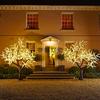 Proyecto de árbol luminoso para exteriores, luces LED impermeables de simulación de cerezo, iluminación decorativa para patio, plaza y festival.