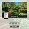 Fabricante de Fuente de Aromaterapia Aceite Esencial de Aromaterapia Soluble en Agua 10 ml Fragancia Vegetal L Difusor Ambientador Máquina de Aromaterapia Aceite Esencial