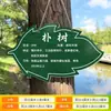 Placas de Identificação de Árvores Frutíferas e Plantas Escolares, Placas Introdutórias, Placas de Identificação de Plantas de Parques, Placas de Lembrete de Cuidados com Flores e Plantas, Etiquetas para Pendurar, Placas Informativas