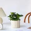 Oficina Hidropónica Planta Verde Pequeño Bonsái Árbol del Dinero Planta en Maceta Sala de Estar Interior Fácil de Cuidar Perenne Pequeña Planta en Maceta Flores