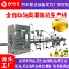 Línea de producción de llenado automático de aceite, juego completo de maquinaria para lavado de botellas, llenado, tapado y etiquetado, máquina llenadora de aceite comestible