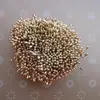 Cuentas Imitación Núcleo de Flor Perlado de 3 mm Cuentas de Yeso Estambre de Flor Centro de Flor de Malla de Seda Materiales para Joyería Hecha a Mano Venta al por Mayor