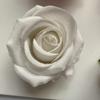 C veludo ameixa pequena cabeça de flor rosa arranjo de flores acessórios adereços para fotografia de flores acessórios de arco decorações de casamento