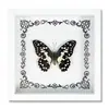 Espécime de Borboleta Real Decoração de Casa DIY Moldura de Madeira para Fotos Suprimentos de Pintura Decorativa Avançada Presente Moderno Presente Criativo