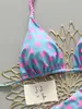 Biquíni Novo Estilo Europeu e Americano 2026 Tecido Especial Aliexpress Maiô Estampado Praia Sexy Moda Praia Feminina