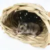 Hamster Evitando Ninho de Grama Casa de Grama Molar Feito à Mão Pequeno Animal de Estimação Ninho de Grama Ninho de Hamster Ninho de Esconderijo para Papagaio Brinquedo para Pássaro