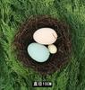 Helecho de Resurrección Decoración de Pascua Nido de Pájaro de Ratán Casa de Pájaros Planta Aérea para Pájaros Accesorio de Foto DIY Mascota