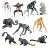 Set de 10 Figuras de Mono Figuritas de Primates Realistas de PVC Varios Monos Incluyendo Gibón Mandril y Tití para Juguetes Educativos de Juego para Niños a